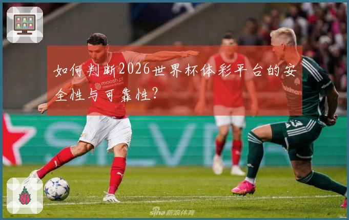 如何判断2026世界杯体彩平台的安全性与可靠性?